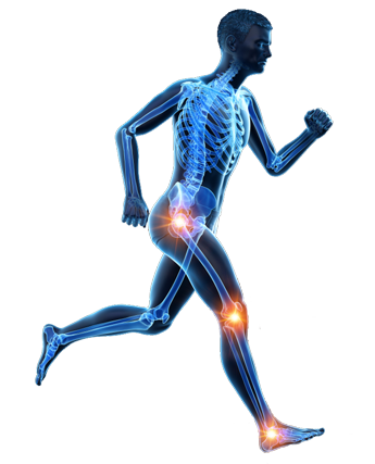 Joint Replacement Surgeon in Delhi